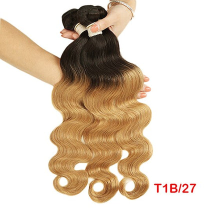 Ombre Brazilian Remy Two Tone Colors