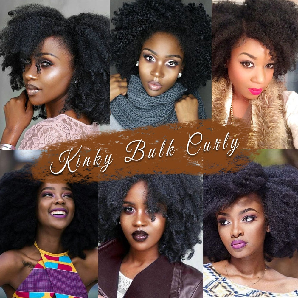 Afro kinky Bulk Twist Braids Curly Crochet Braid Hair Extensions