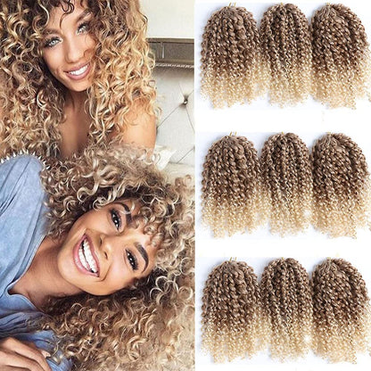Twist Marlybob Crochet Hair Afro Curly Crochet Braids