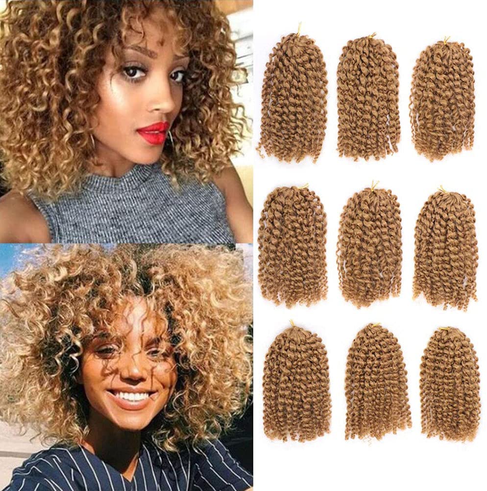 Afro Kinky Curly Crochet Braids