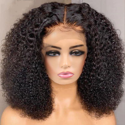 Afro kinky Curly Human Hair Wig